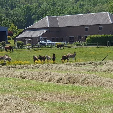Les Mout'Anes Bed and Breakfast Saint-Hilaire-sur-Helpe Eksteriør billede