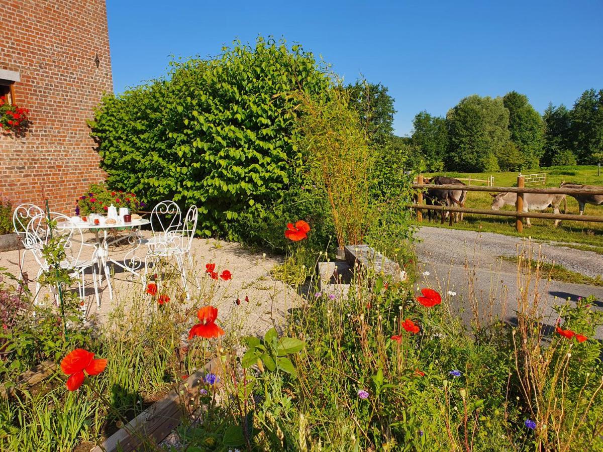 Les Mout'Anes Bed and Breakfast Saint-Hilaire-sur-Helpe Eksteriør billede