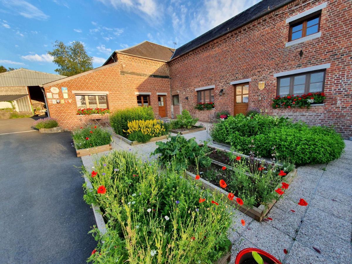 Les Mout'Anes Bed and Breakfast Saint-Hilaire-sur-Helpe Eksteriør billede
