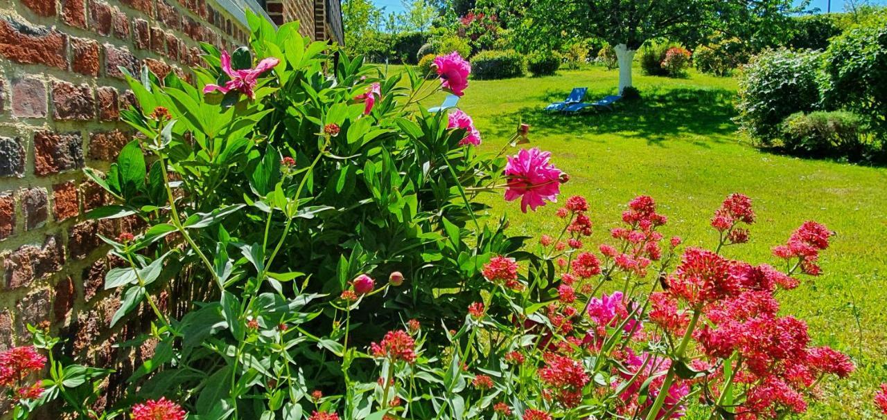 Les Mout'Anes Bed and Breakfast Saint-Hilaire-sur-Helpe Eksteriør billede