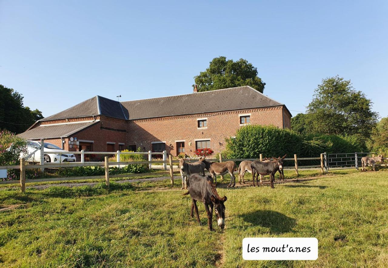 Les Mout'Anes Bed and Breakfast Saint-Hilaire-sur-Helpe Eksteriør billede