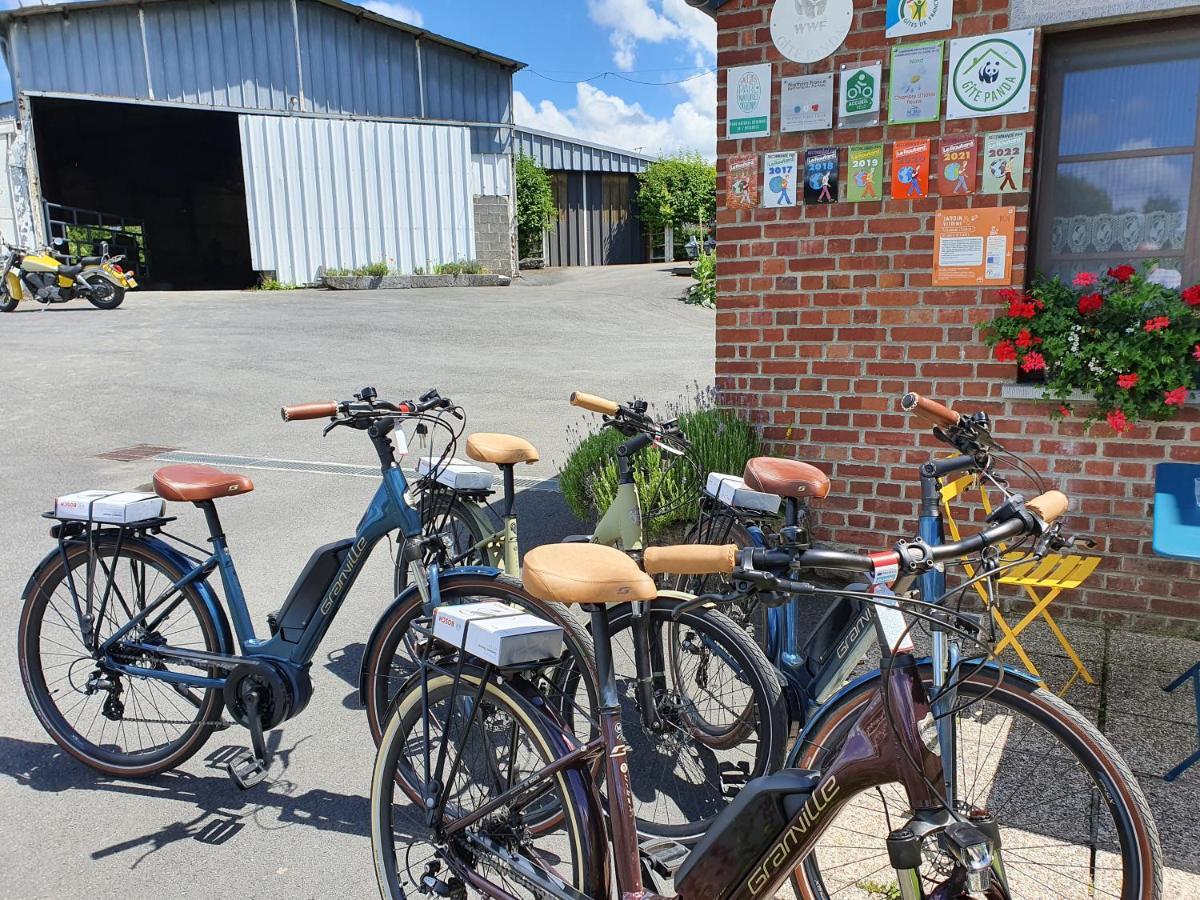 Les Mout'Anes Bed and Breakfast Saint-Hilaire-sur-Helpe Eksteriør billede