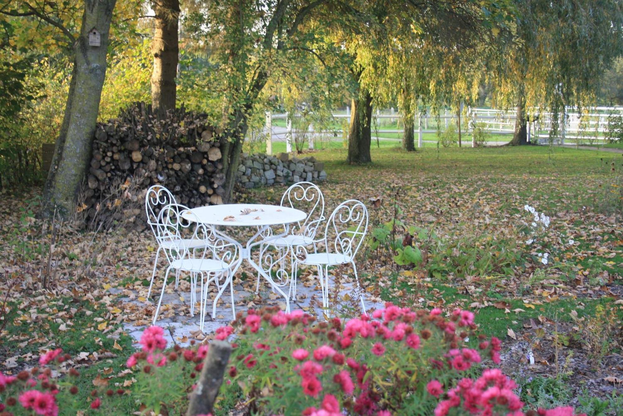 Les Mout'Anes Bed and Breakfast Saint-Hilaire-sur-Helpe Eksteriør billede