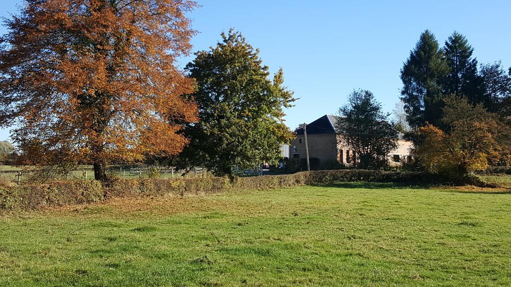 Les Mout'Anes Bed and Breakfast Saint-Hilaire-sur-Helpe Eksteriør billede