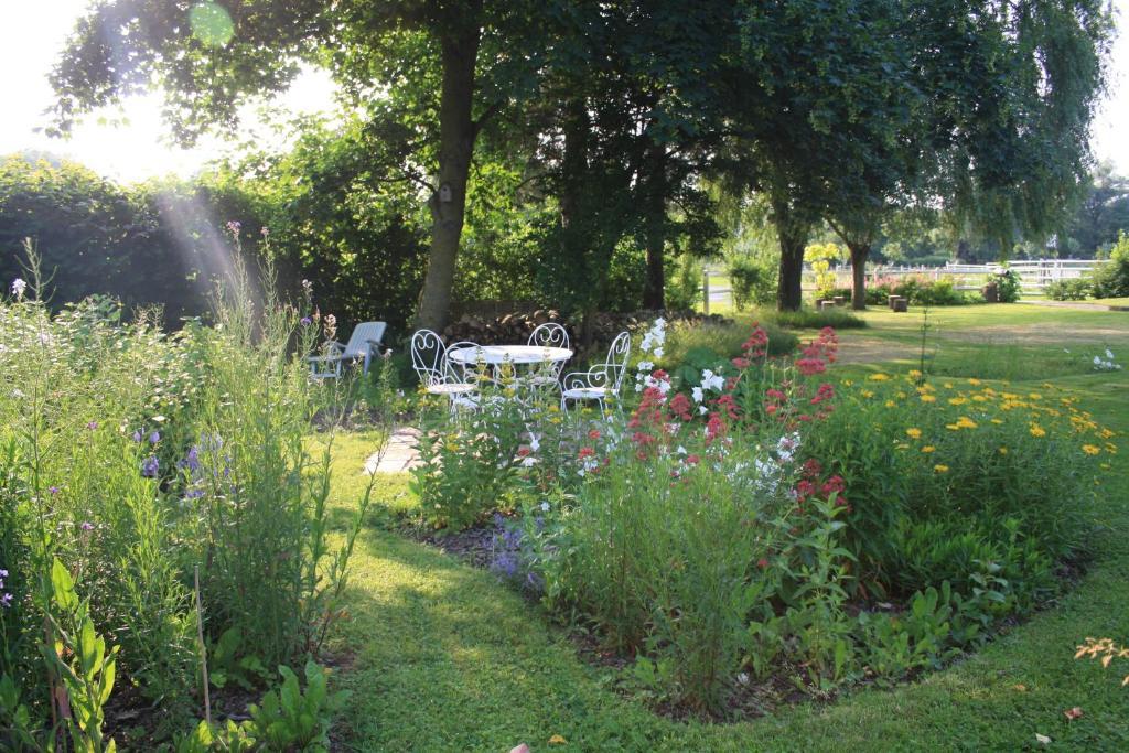 Les Mout'Anes Bed and Breakfast Saint-Hilaire-sur-Helpe Eksteriør billede