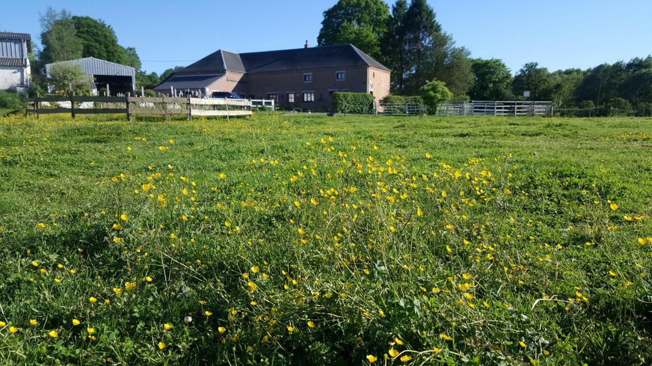 Les Mout'Anes Bed and Breakfast Saint-Hilaire-sur-Helpe Eksteriør billede