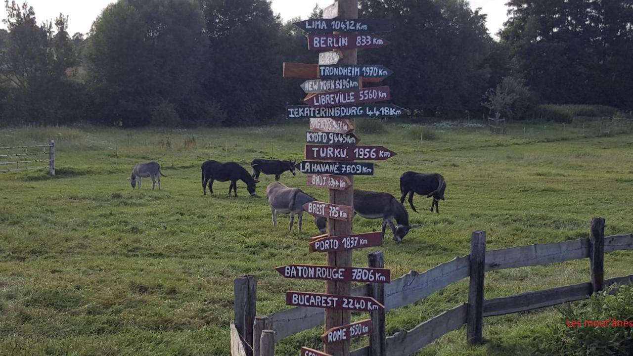 Les Mout'Anes Bed and Breakfast Saint-Hilaire-sur-Helpe Eksteriør billede