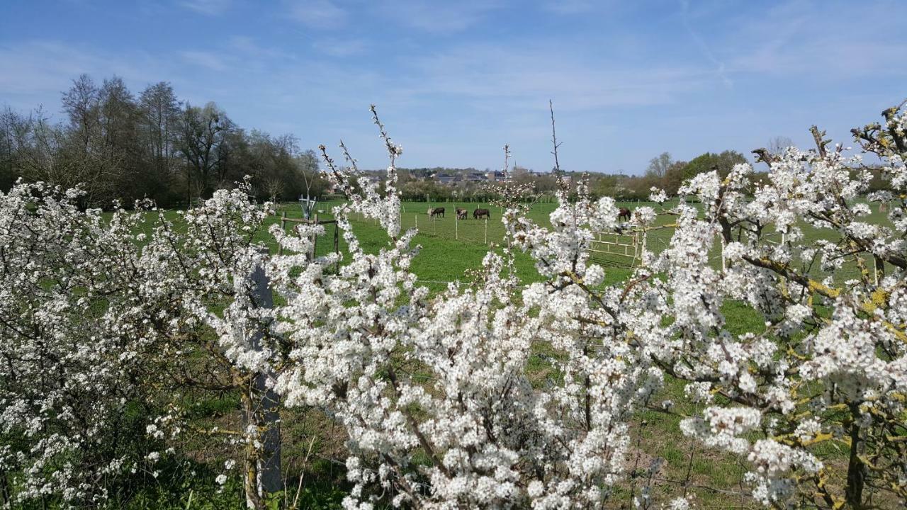 Les Mout'Anes Bed and Breakfast Saint-Hilaire-sur-Helpe Eksteriør billede